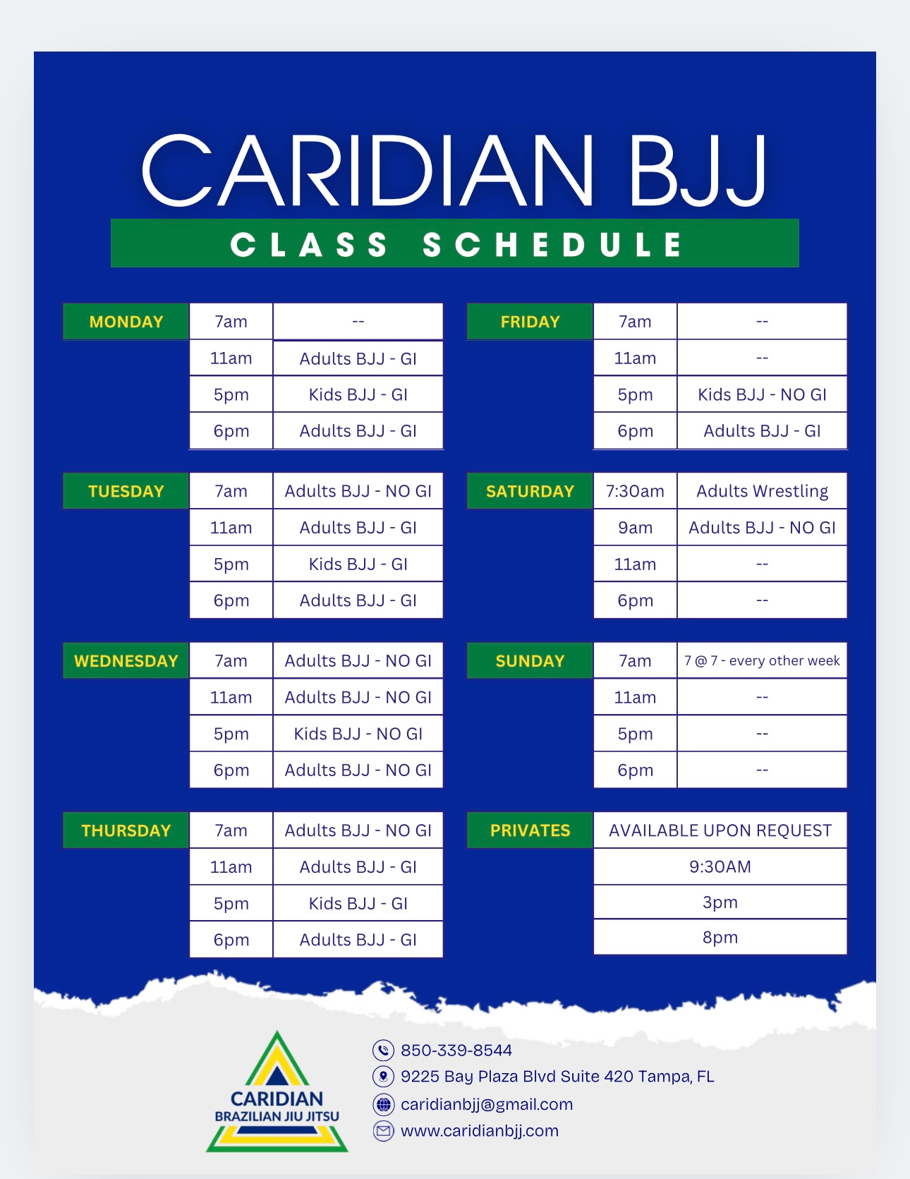 Caridian Brazilian Jiu Jitsu facility image